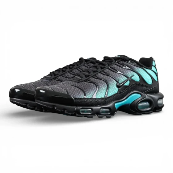 Air Max Plus ‘Black Dusty Cactus’ 2025